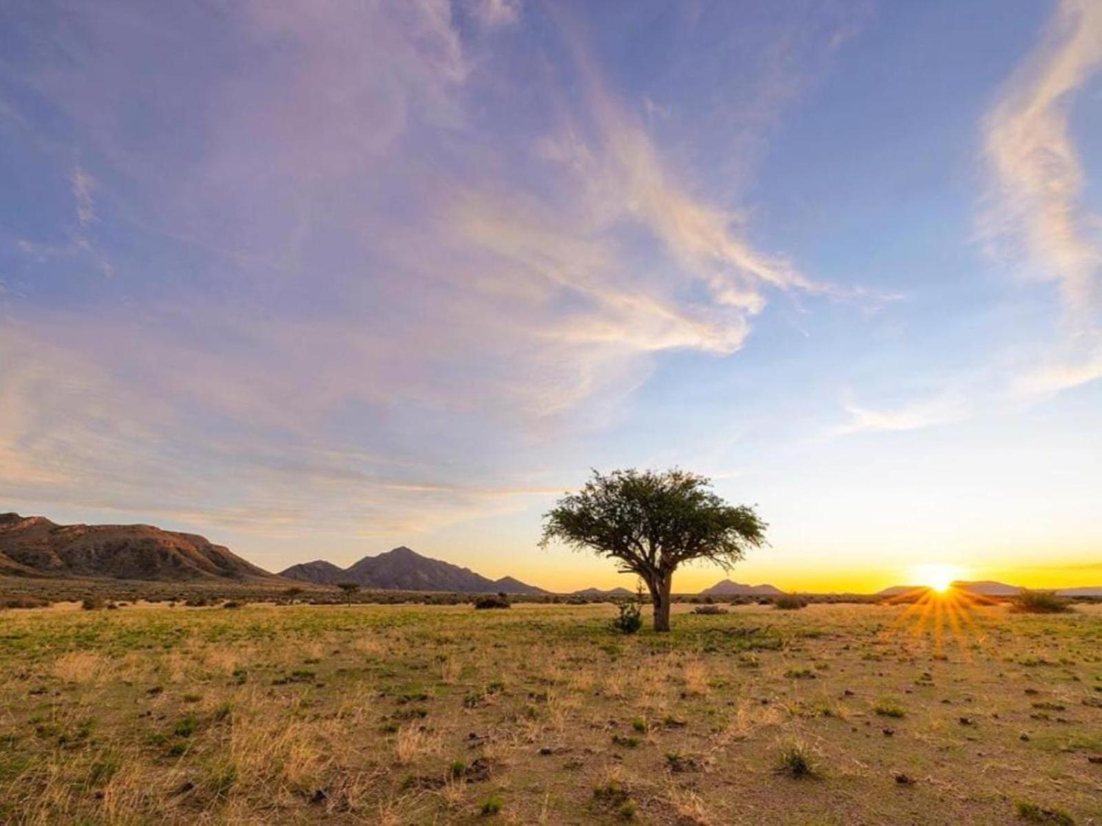 Camp Gecko - Private Nature Reserve; Tented Camp And Campsite Solitaire Eksteriør billede