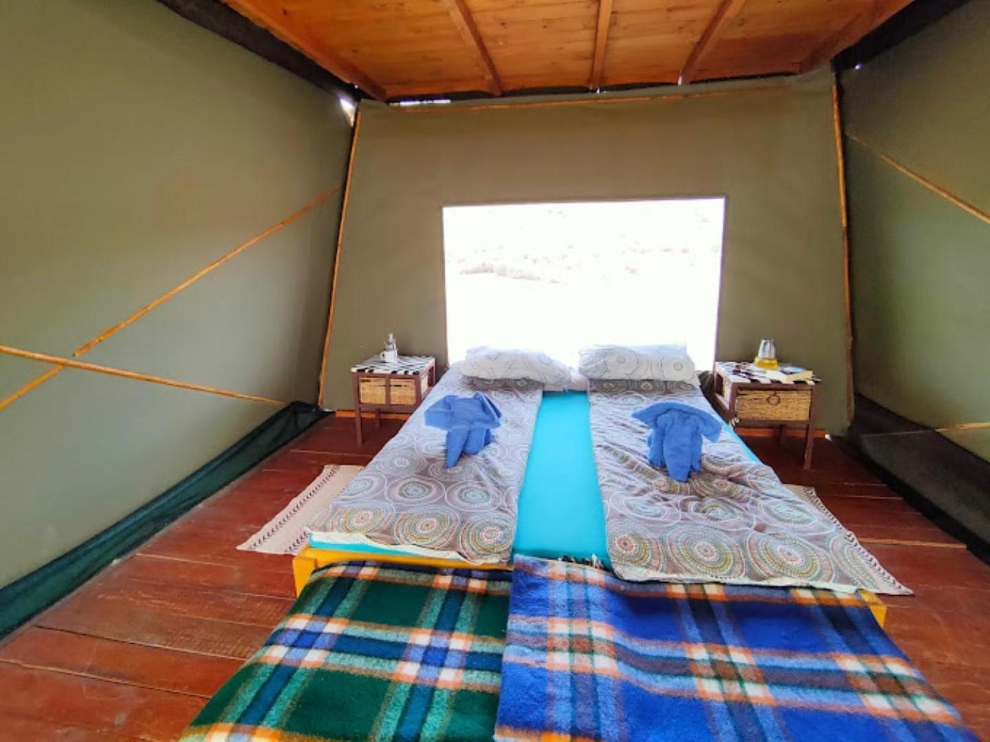 Camp Gecko - Private Nature Reserve; Tented Camp And Campsite Solitaire Eksteriør billede